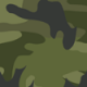 Camouflage vert armée
